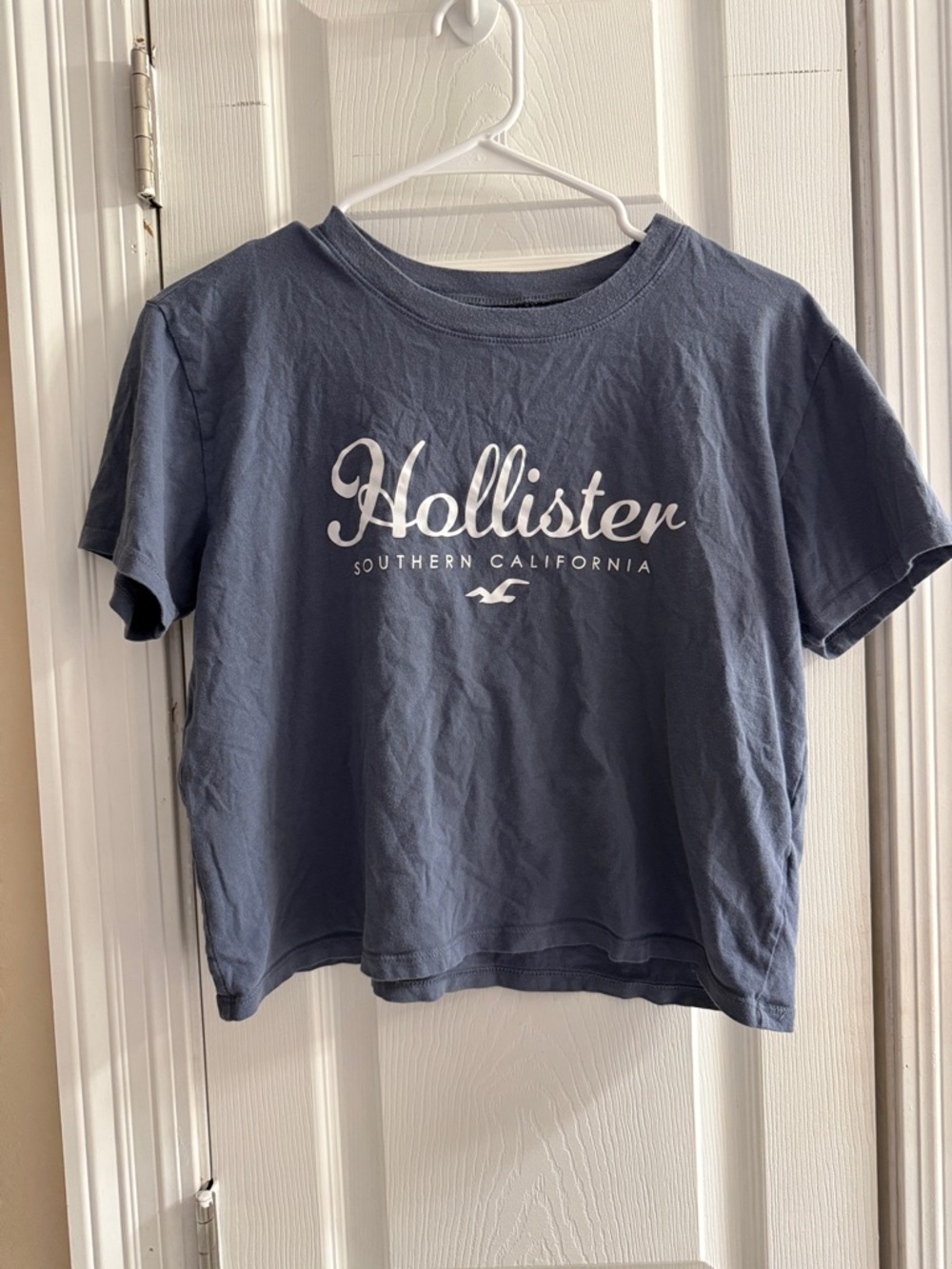 Hollister Y2K Size Small Blue Logo Cropped Tee